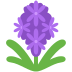 :hyacinth: :hyacinth: