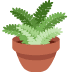 :potted_plant: :potted_plant: